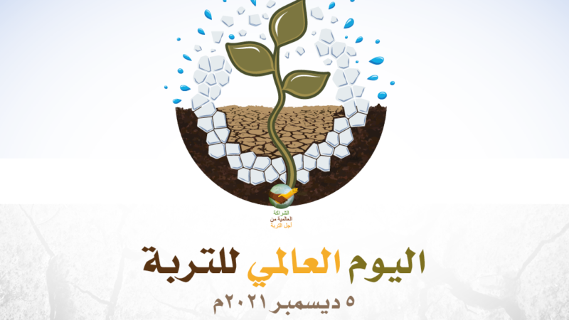 5 ديسمبر اليوم العالمي للتربة: وقف تملح التربة وزيادة إنتاجيتها