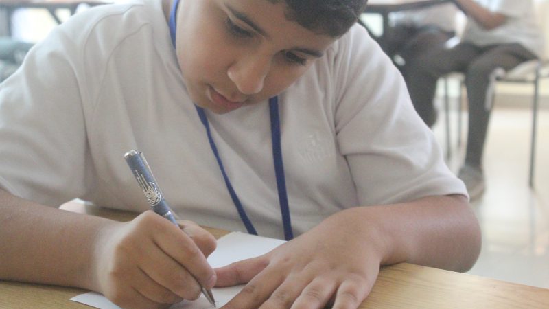 ملك الخط العربي